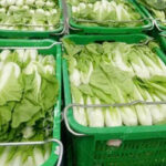clean vegetable delivery