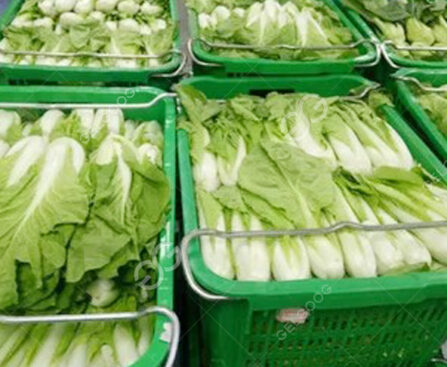 clean vegetable delivery