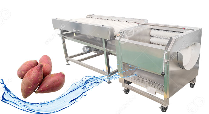sweet potato washing and peeling machine