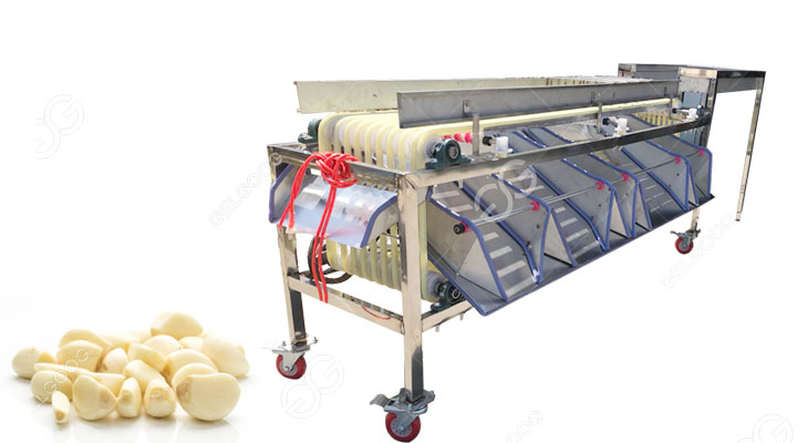 peeled garlic grading machine