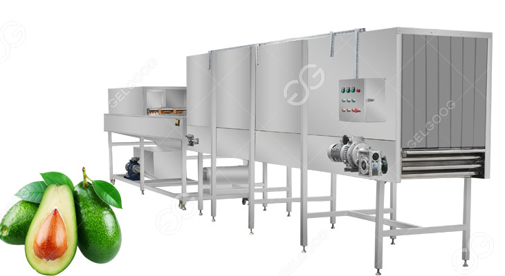 avocado waxing machine