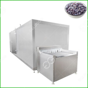 blueberry freezer