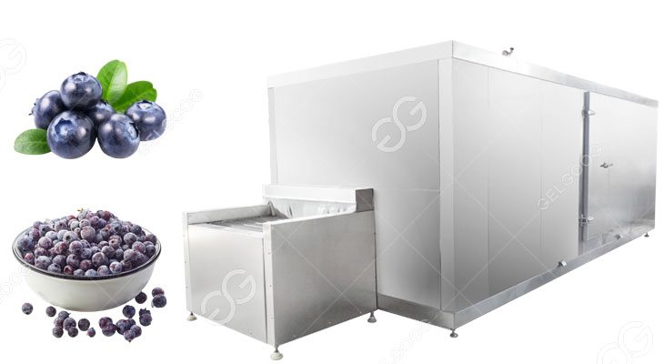 blueberry freezer details