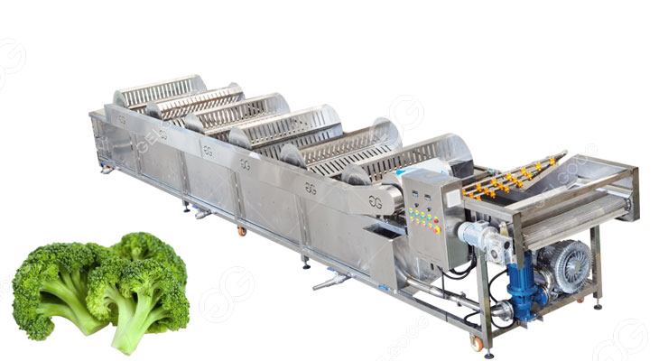 broccoli washing machine