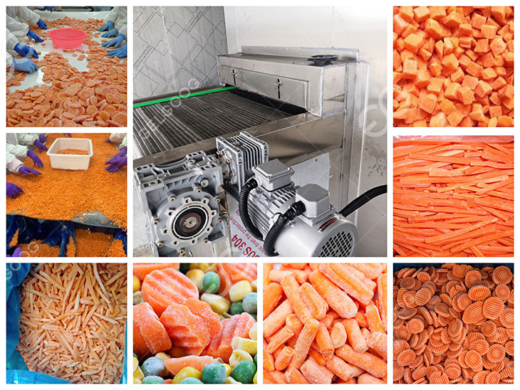 carrot freezer details