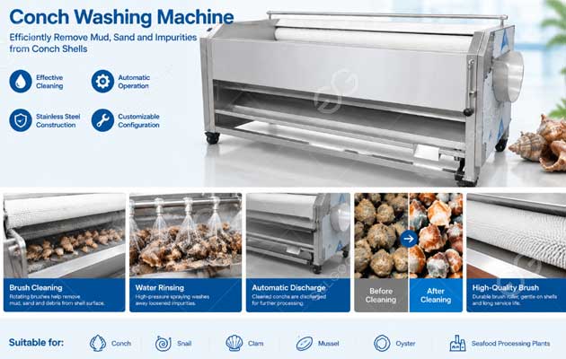 conch-washing-machine