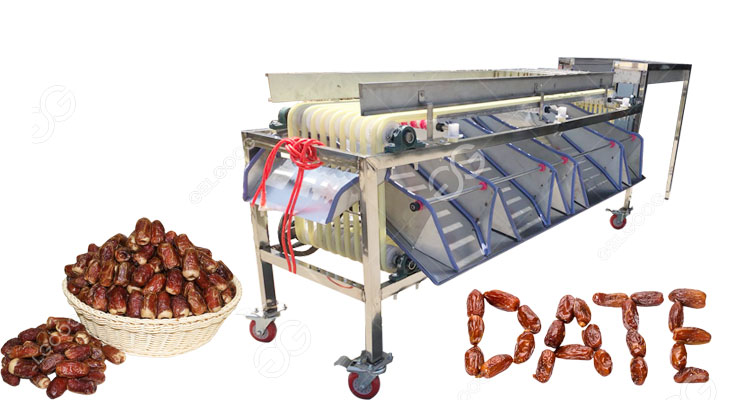 dates fruit grading machine