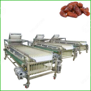 dates fruits grading machine