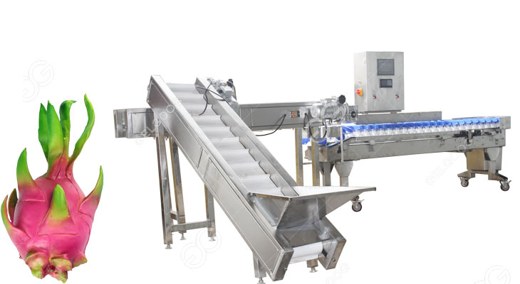 dragon fruits grading machine