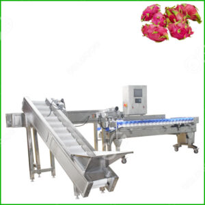 dragon fruits grading machine