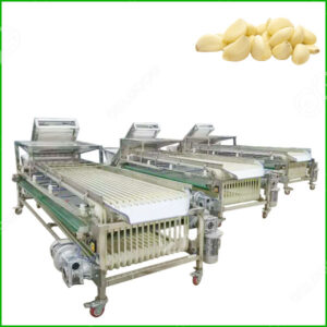 garlic grading machine