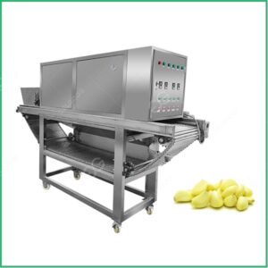 garlic-peeling-machine