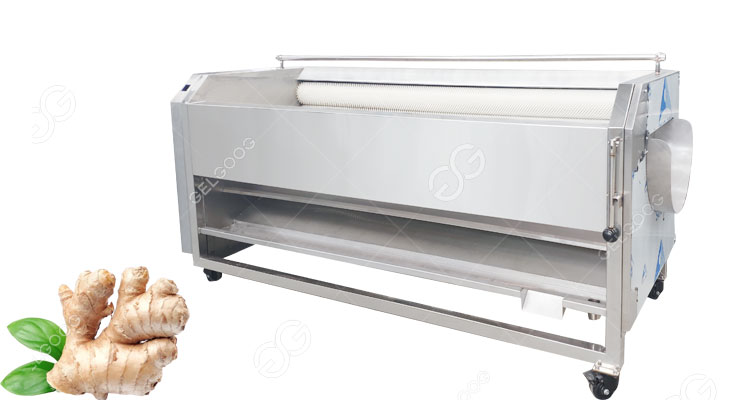 ginger washing and peeling machine