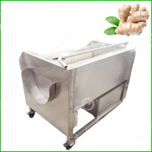 ginger washing and peeling machine
