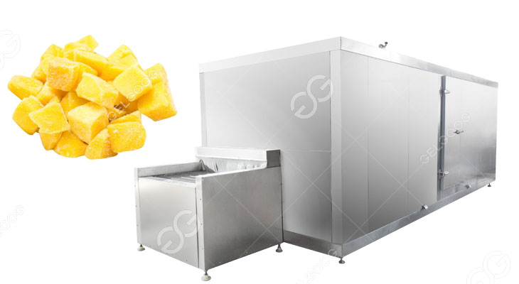 mango iqf freezer