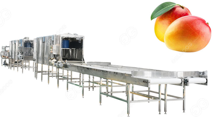 mango waxing machine