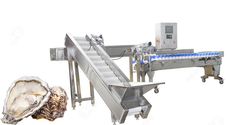 oyster grading machine