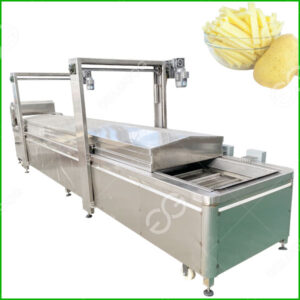 poatato blanching machine