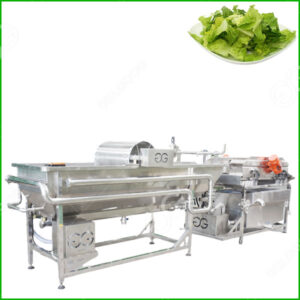 salad washing machine