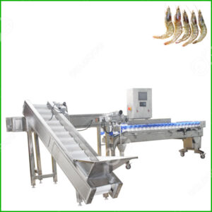 shrimp grading machine