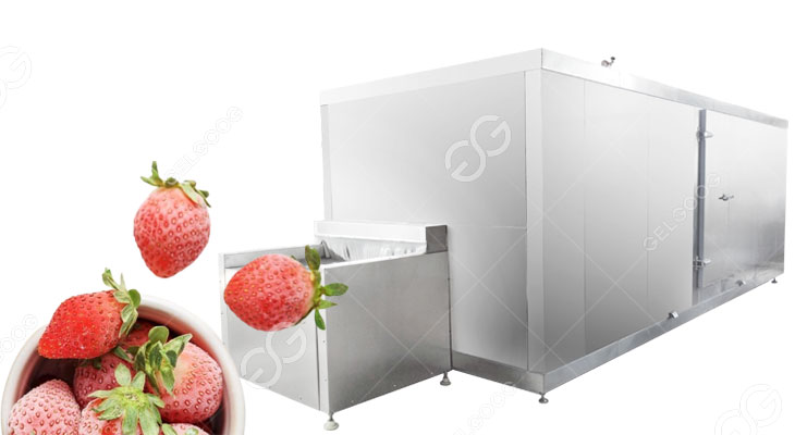 strawberry freezer
