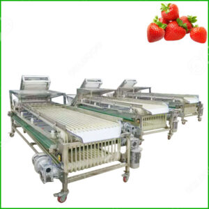 strawberry grading machine