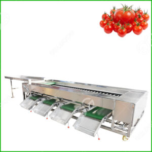 tomato grading machine