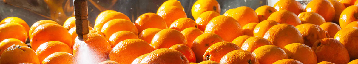 banner 1