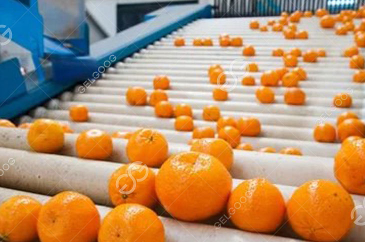 Citrus Elevating