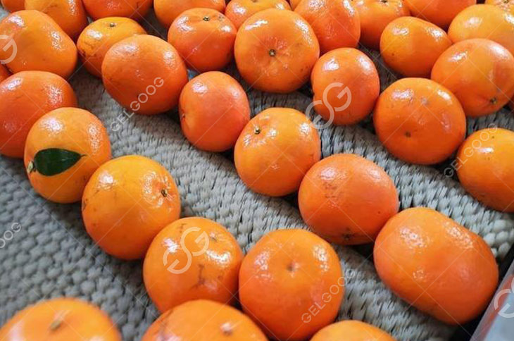 Citrus Polishing