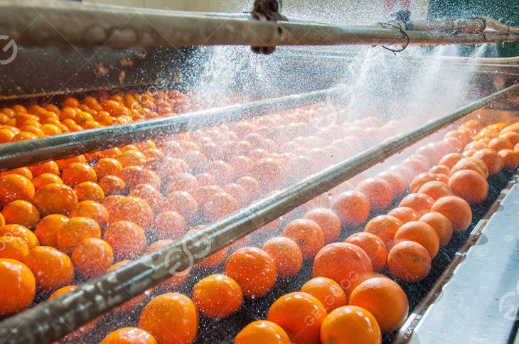 Citrus Waxing