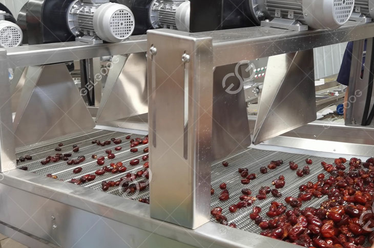 Dates Fruits Washing Drying Grading Processing Machinery