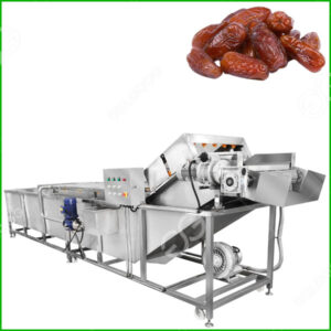 dates fruit washing machine