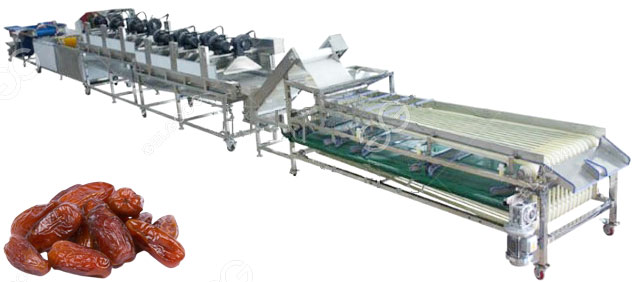 dates fruits processing line