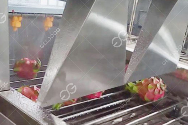 Dragon Fruits Dry