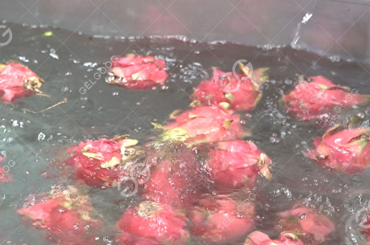 Dragon Fruits Soak