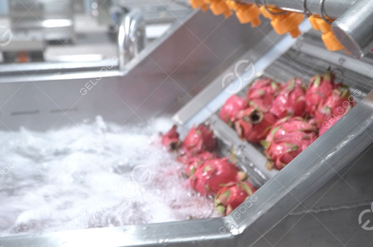 Dragon Fruits Wash