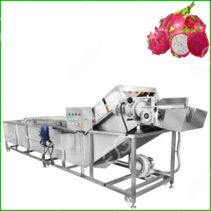 dragon fruits washing machine