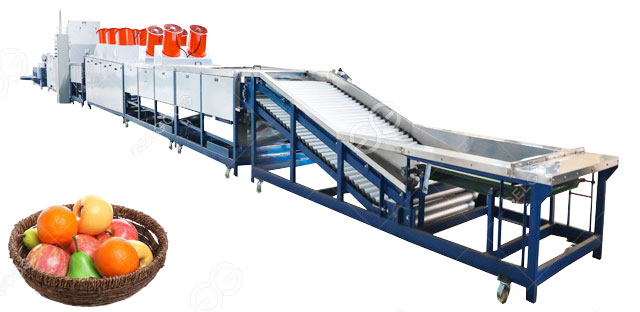 fruits washing grading waxing line