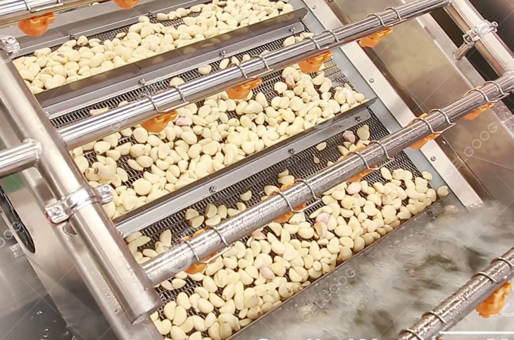 Garlic Washing