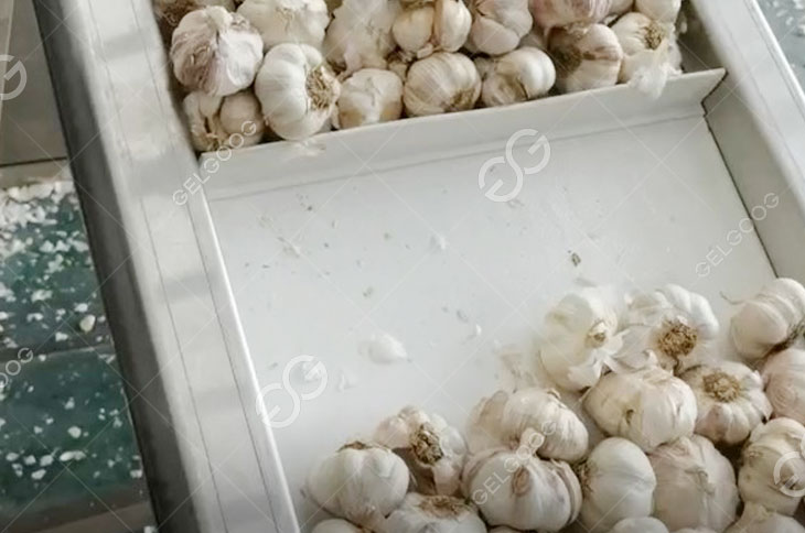 Garlic Elevating