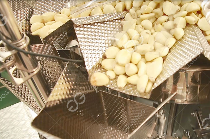 Garlic Packing