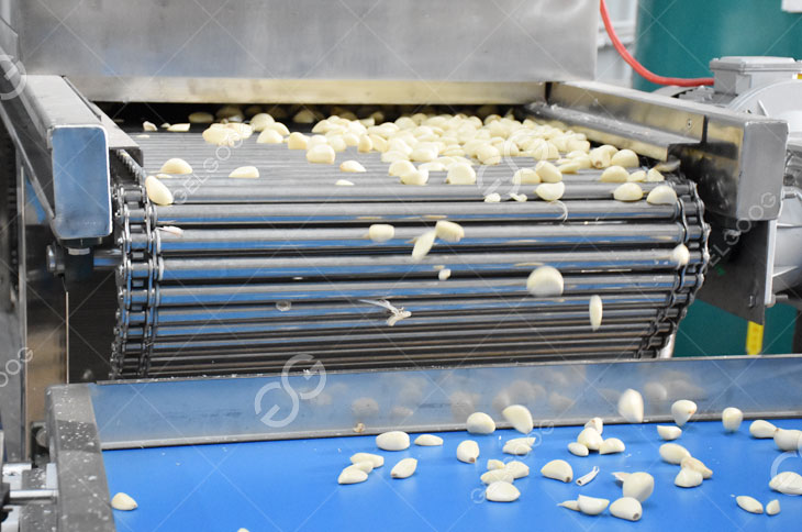 Garlic Peeling