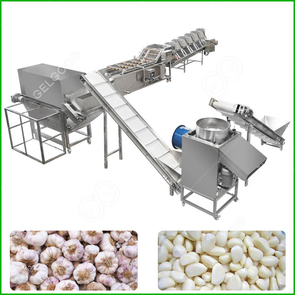 garlic peeling production line