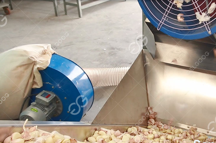 Garlic Separating