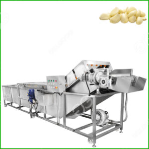 garlic washing machine