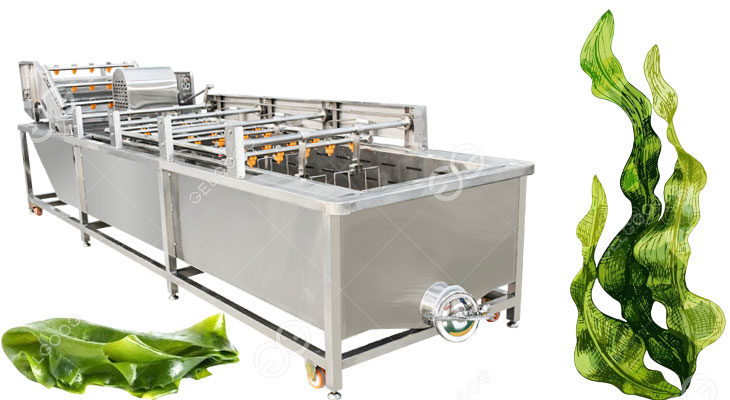 industrial seaweed washing machine