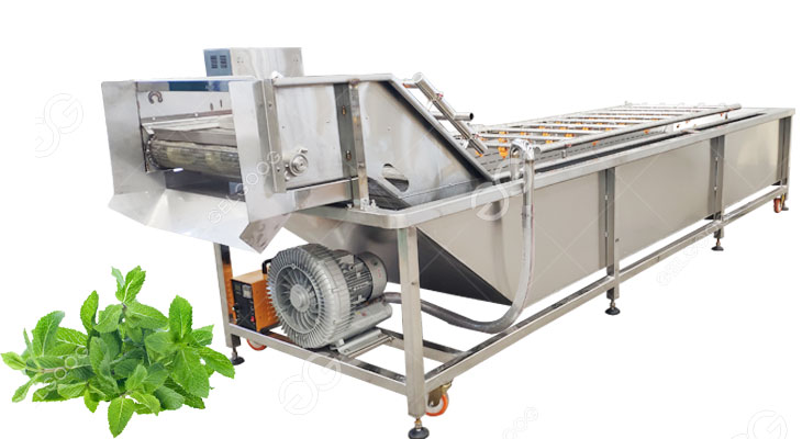 mint washing machine