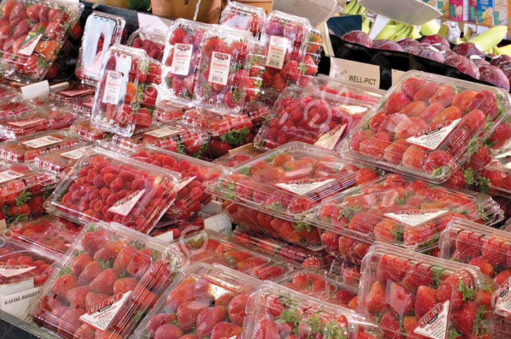 Strawberry Packing