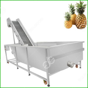 pineapple washing machine